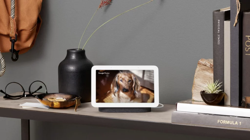 Google Nest Mini e Nest Hub in offerta da 1€ al mese