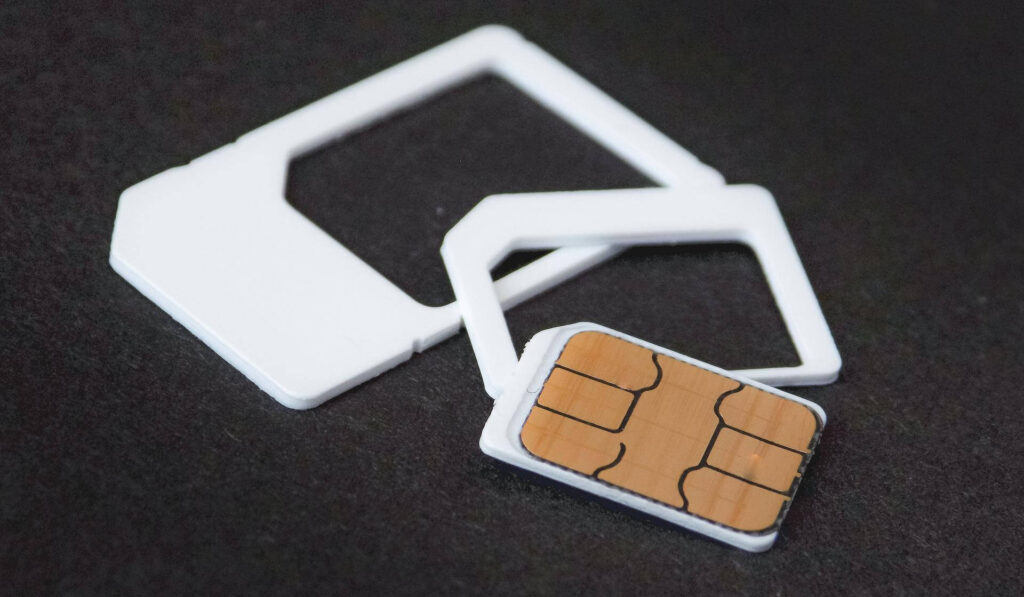 SIM, quale differenza tra Mini, Micro, Nano ed eSIM